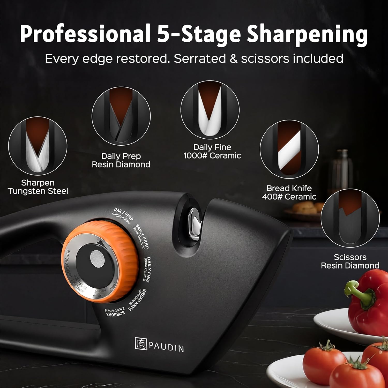 PAUDIN 5-Stage Knife Sharpener KS2-B