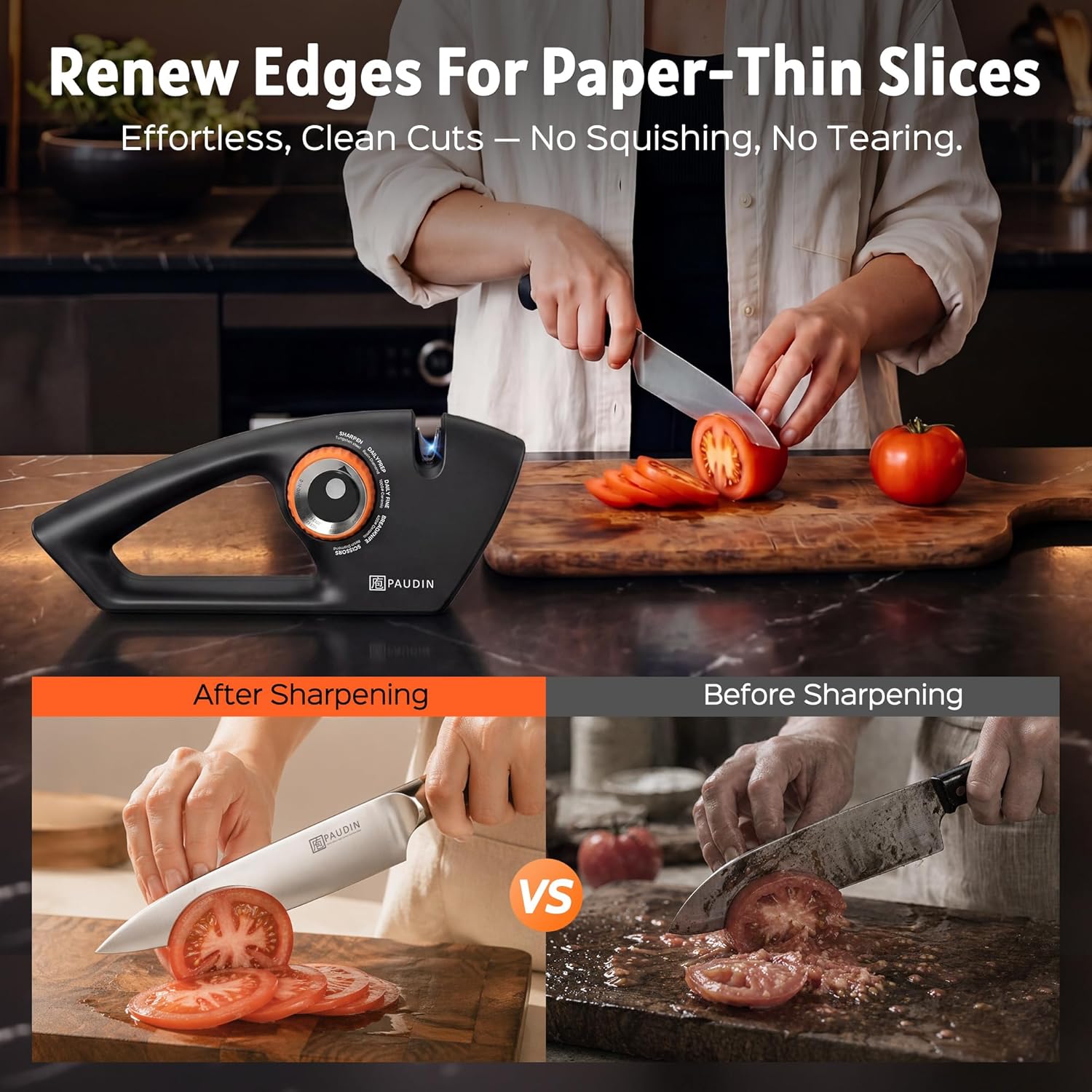PAUDIN 5-Stage Knife Sharpener KS2-B