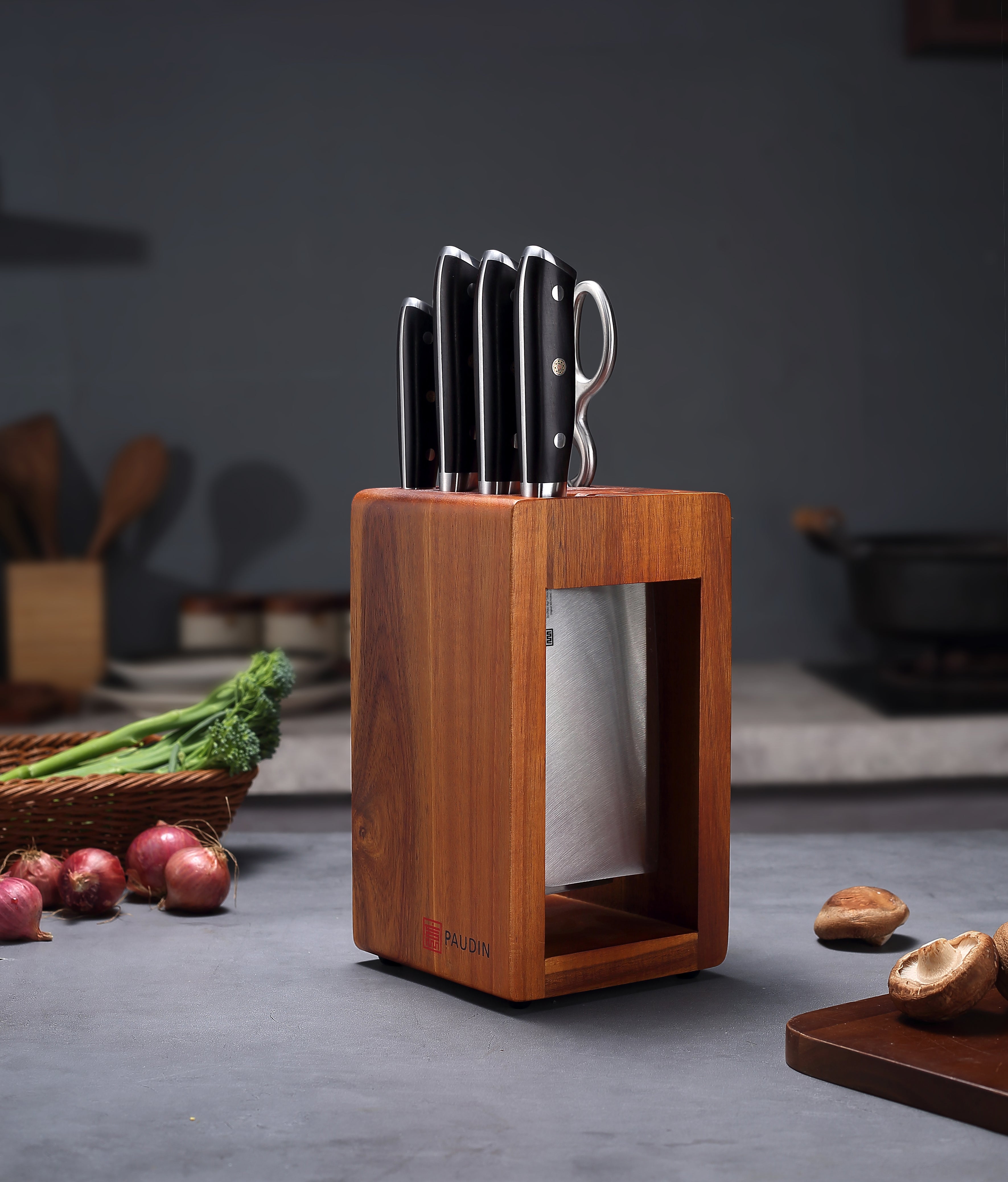 PAUDIN 6PCS Knife Block Set High Carbon Stainless Steel Kitchen Knife Set CS-5A