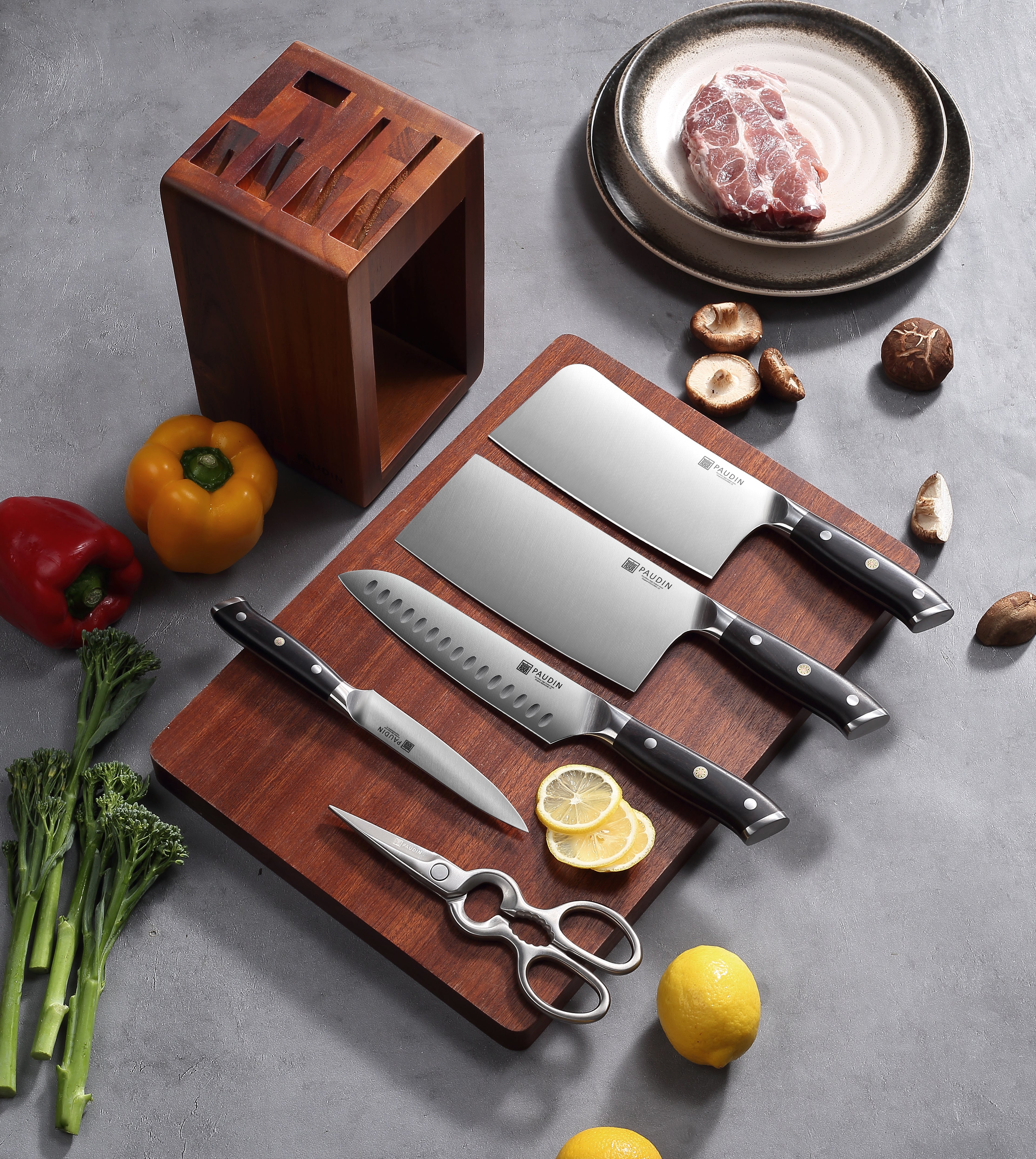 PAUDIN 6PCS Knife Block Set High Carbon Stainless Steel Kitchen Knife Set CS-5A